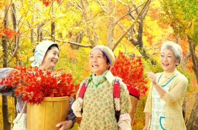 地球的故事 | 日本神奇小鎮(zhèn)15年零垃圾 老人靠撿樹(shù)葉就能致富