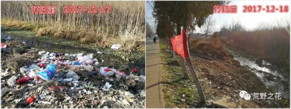▲ 渼陂村打掃前后